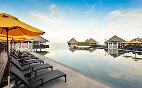 Golden Palm Tree Sepang